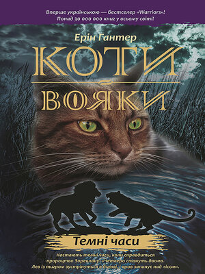 Темні часи - ebook